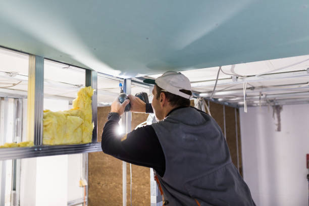 Best Garage Insulation  in Saticoy, CA