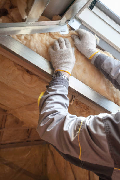 Best Attic Insulation Installation  in Saticoy, CA