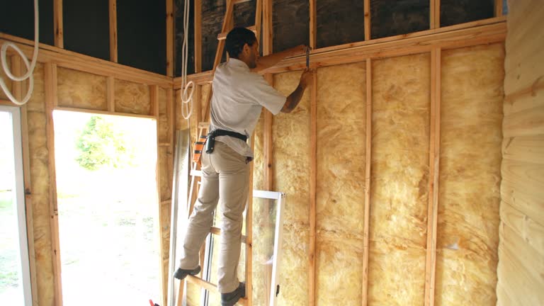 Best Attic Insulation Installation  in Saticoy, CA